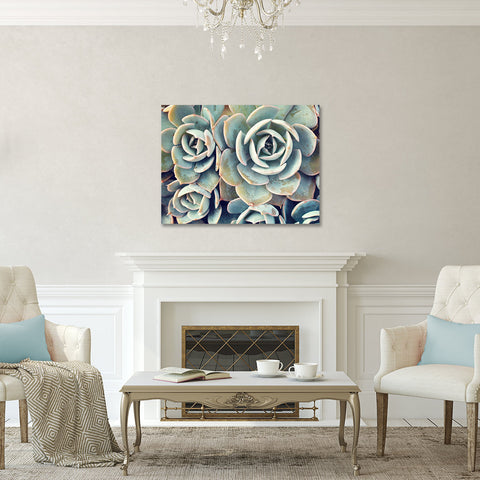 Ready to Hang Succulent Gallery Wrapped Canvas- Succulent Wall Decor - april bern art & photography