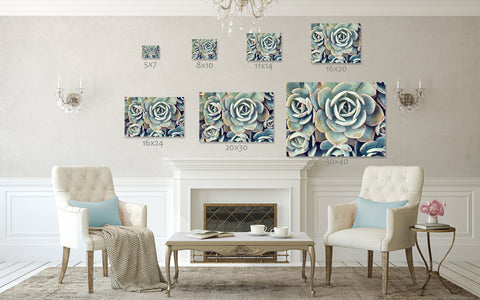 Ready to Hang Succulent Gallery Wrapped Canvas- Succulent Wall Decor - april bern art & photography