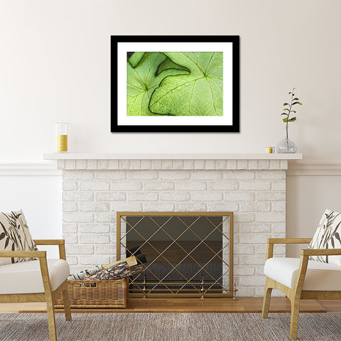 Tropical Green Leaf Botanical Art - april bern art & photography