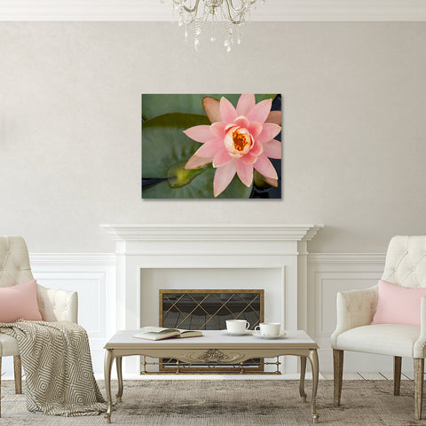 Waterlily Gallery Wrapped Canvas - Ready to Hang Floral Canvas Art