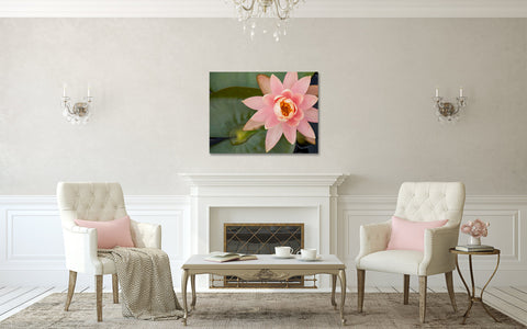 Waterlily Gallery Wrapped Canvas - Ready to Hang Floral Canvas Art - april bern art & photography