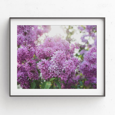 Instant Download - Spring Lilac Printable Art - april bern art & photography