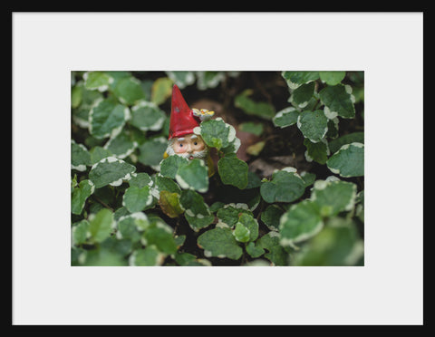 Garden Gnome Fine Art Print - Hide and Seek - april bern art & photography