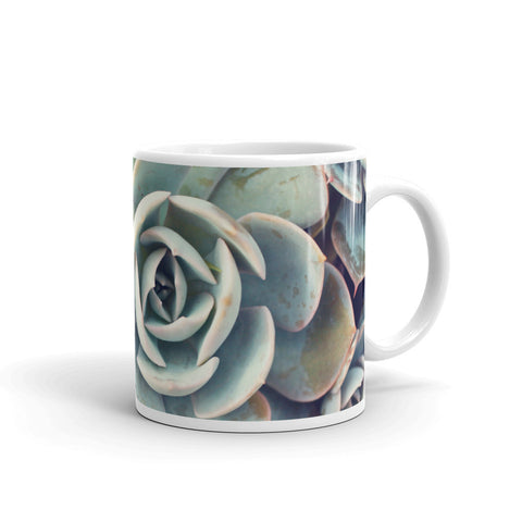 Succulent Coffee Mug - april bern photography