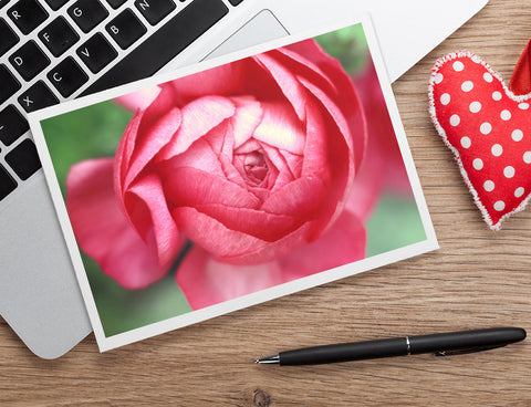 Pink Peony Photo Notecard, Floral Stationary - april bern art & photography