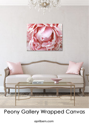 Peony Gallery Wrap Canvas - Ready to Hand Floral Canvas Art - april bern art & photography