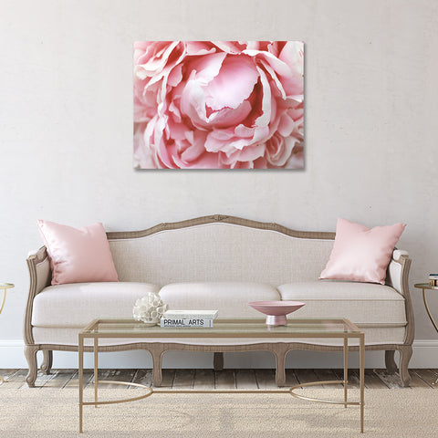 Peony Gallery Wrap Canvas - Ready to Hand Floral Canvas Art