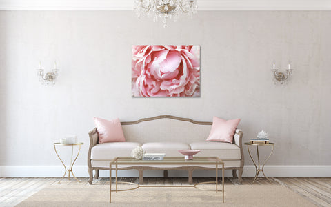 Peony Gallery Wrap Canvas - Ready to Hand Floral Canvas Art - april bern art & photography