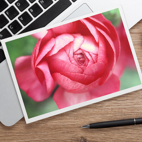 Pink Peony Photo Notecard, Floral Stationary