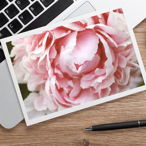 Pink Peony Notecard, Floral Blank Greeting Card