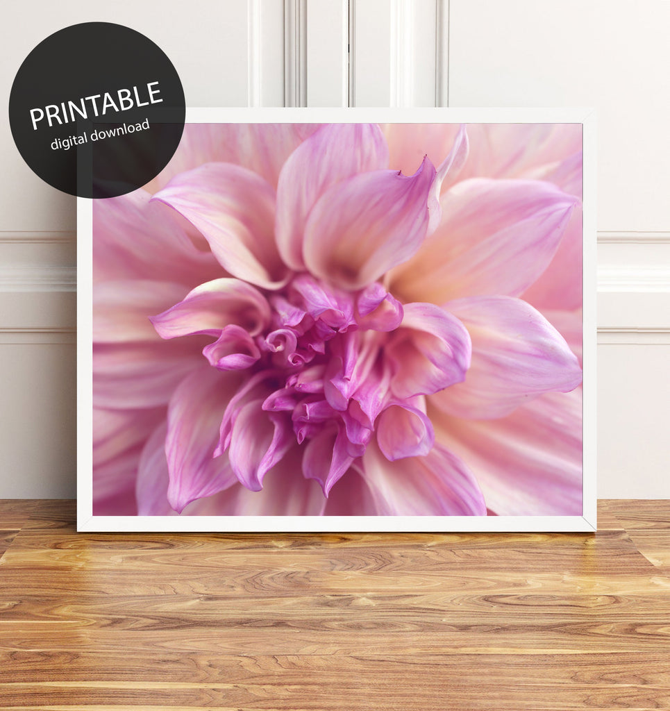 Printable Pink Dahlia Wall Art - Instant Download