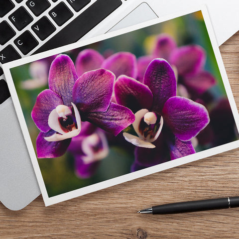 Purple Orchid Photo Notecard, Orchid Stationary