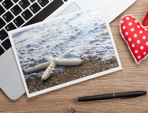 Starfish Photo Notecard - Seashell Card - april bern art & photography
