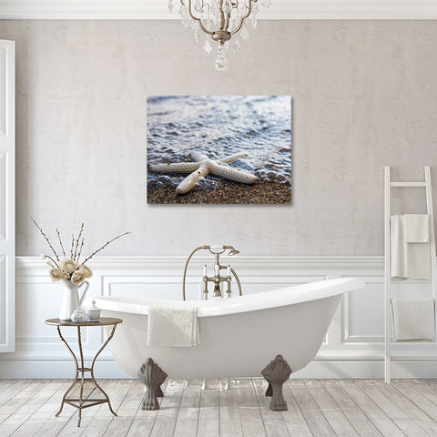 Starfish Gallery Wrapped Canvas, Ready to Hang Canvas Art