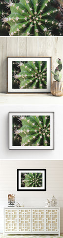 Cactus Fine Art Print - Southwest Home Decor - april bern art & photography