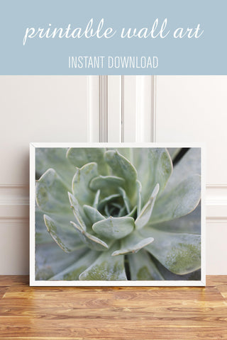 Instant Download - Pastel Succulent Printable Art - april bern photography