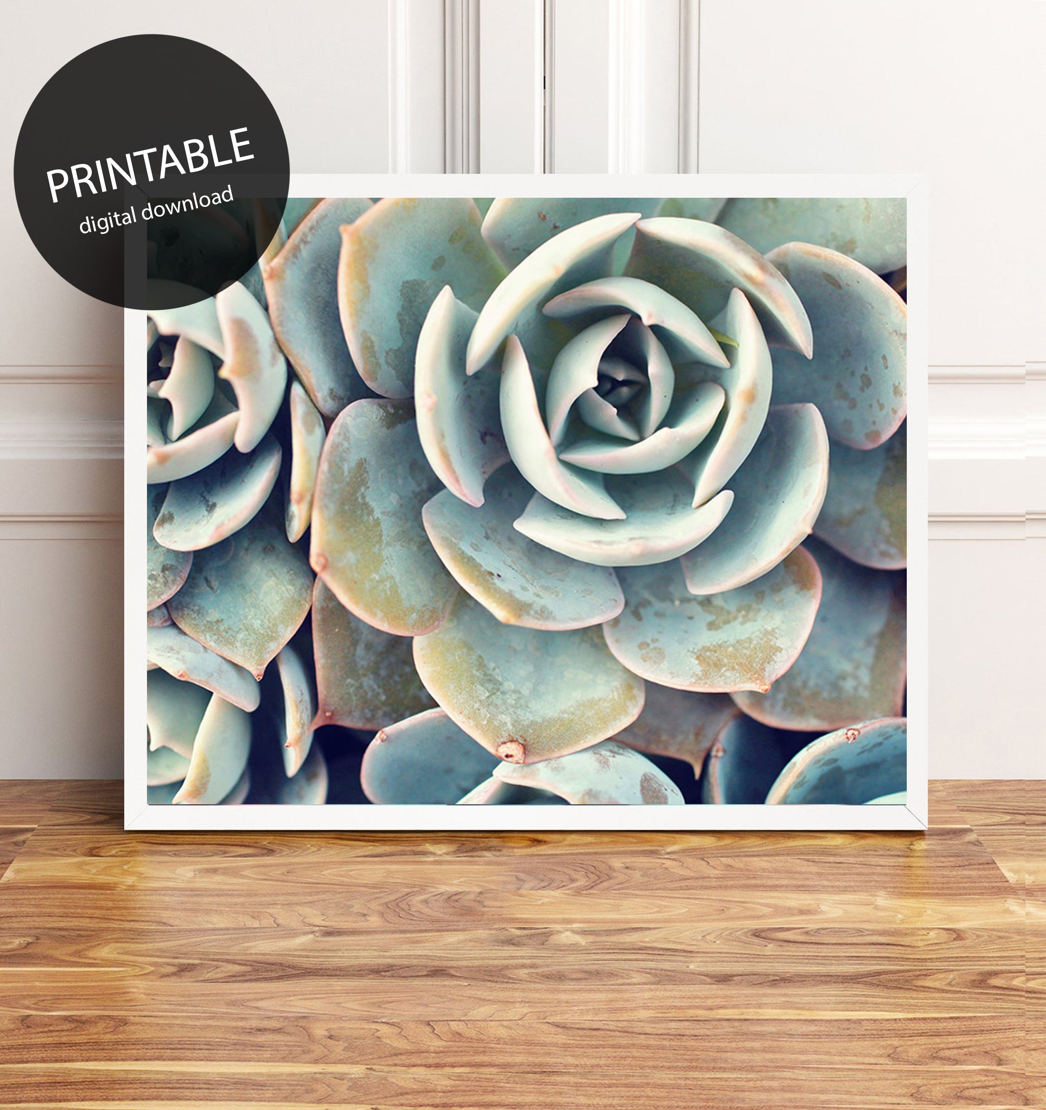 succulent wall painting Printable Art