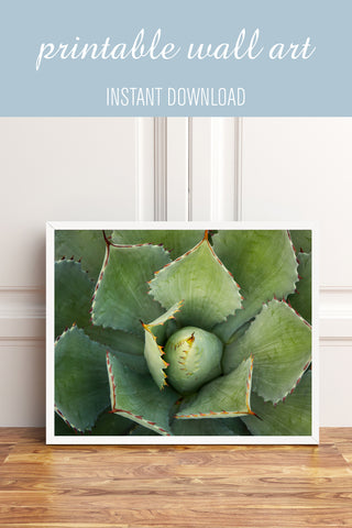 Printable Wall Art - Agave Instant Download - april bern photography