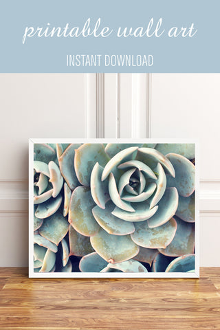 Printable Art - Succulent Instant Download - april bern photography