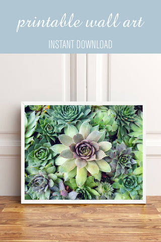 Printable Art - Succulent Garden Instant Download - april bern photography