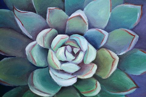 Succulent 12x12 Original Oil Painting, Southwest Decor - april bern art & photography