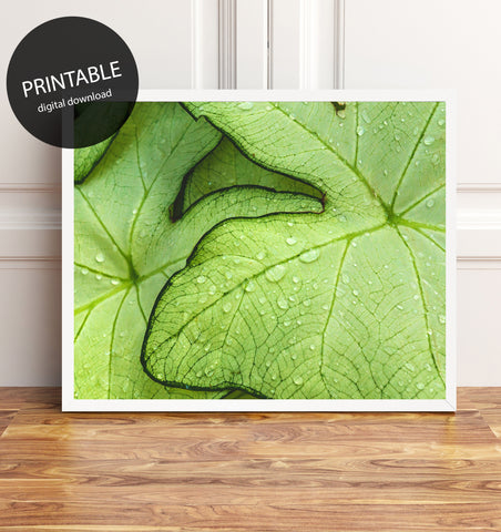 Tropical Leaves Printable Art