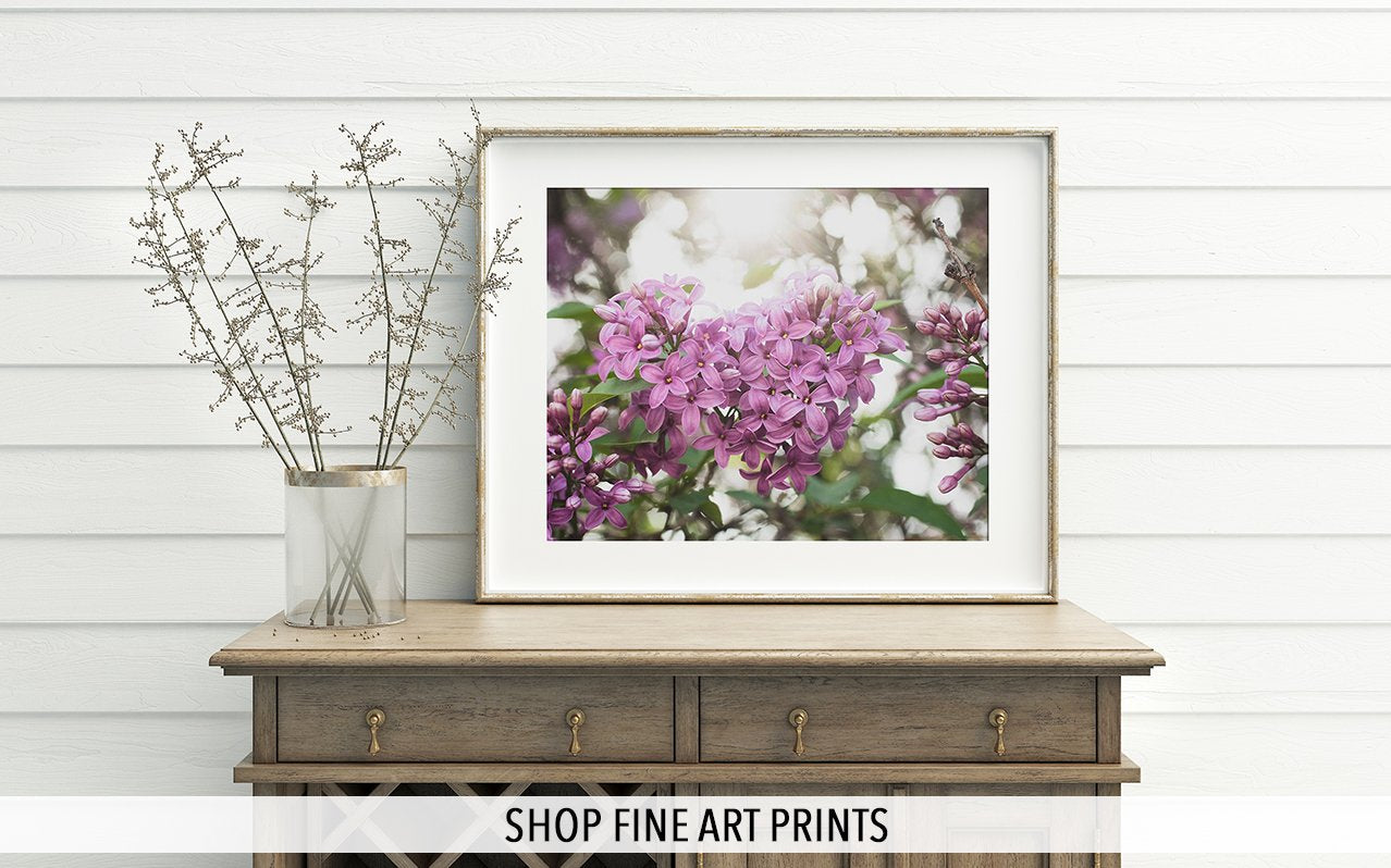 Shop Fine Art Prints for your home or office