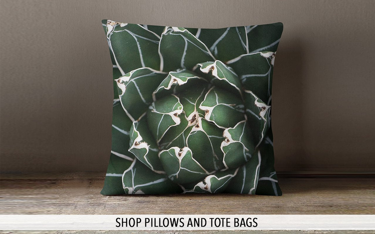 Shop Pillows and Tote Bags